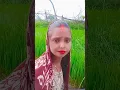 Download Lagu Pahile Tu Rahalu Moriniya #youtubeshorts #trendingshorts #bhojpuri #song