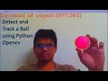 Object Detection and Tracking Python Opencv