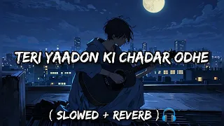teri yaadon ki chadar odhe slowed reverb dil ne tera naam liya 90s bollywood romantic vibe