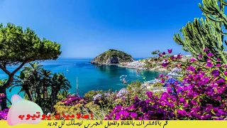 قمر سيدنا النبي مؤمن الجناني 