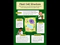 Plant Cell structure