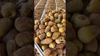 تمر جديد سكري القصيم سعر عرض كرتون ٥ كيلو الا 60 ريال القصيم بريده محل عاصمة النخيل حي الفايزيه تمر  تمر جديد سكري القصيم سعر عرض كرتون ٥ كيلو الا 60 ريال القصيم بريده محل عاصمة النخيل حي الفايزيه تمر