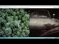 Trailer Responsive Design Made Easy Tutorial by MuseThemes com