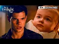 One Look and Everything Changed for Jacob The Imprinting Scene Breaking Dawn Part 1