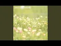 Download Lagu Jatuh Cinta Padamu