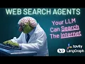 AI Agents Web Search For LLMs LangGraph Tavily Tutorial