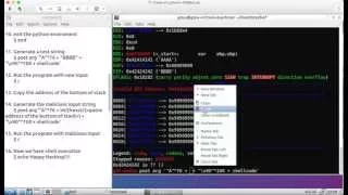 Return to Stack Exploit Shell Execution using Stack Buffer Overflow
