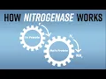 Biological Nitrogen Fixation How Nitrogenase Works