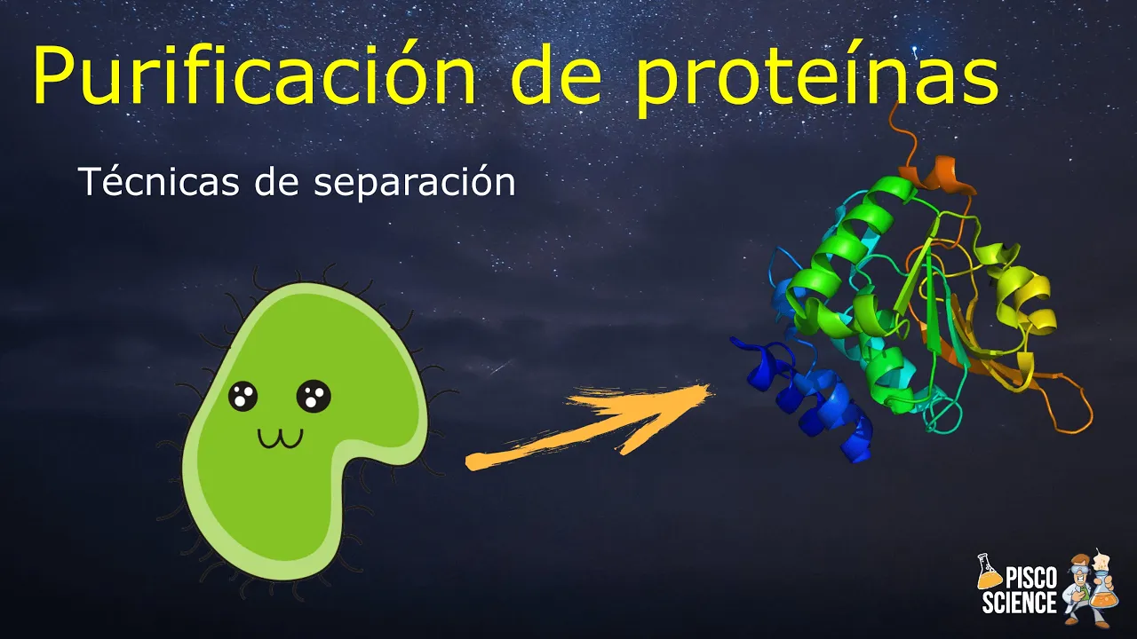 Técnicas de Purificación de proteínas