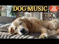 Download Lagu 24 HOURS of Dog Calming Music🐶🎵Soft Music to Soothe Dogs Alone🐶💖Relaxing Atmosphere⭐Healingmate