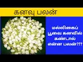 Download Lagu மல்லிகை பூவை கனவில் கண்டால் என்ன பலன்/What is the benefit of dreaming of jasmine flower /#kanavu