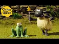 Download Lagu Shaun the Sheep 🐑 Magic Timmy ✨ Full Episodes Compilation [1 hour]