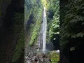 Download Lagu #sekumpul #waterfall #bali #indonesia #travel #nature