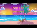 Download Lagu Collie Buddz - Mr. Wicked (Official Audio)