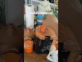 Download Lagu Making carrot juice | Black and decker juicer. #juicer #carrotjuice #freshcarrots