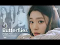 Download Lagu How would Kep1er sing 'Butterflies' by Hearts2Hearts - [AI COVER]