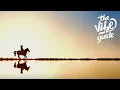 Klingande - By The River (ft. Jamie N Commons)