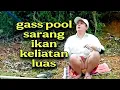 Download Lagu waduk terbesar hadir banyak penampakan ikan putih