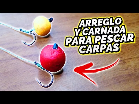 Download MP3 CARNADA para PESCAR CARPAS estilo BOILIES (Fácil y rápida)