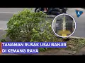 Download Lagu Taman di Trotoar Kemang Raya Rusak Usai Banjir Jakarta Tadi Malam