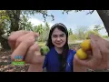 Download Lagu [FULL] JELAJAH LOMBOK UTARA | JEJAK ANAK NEGERI (13/10/22)
