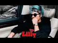 Lily versi ata halilintar