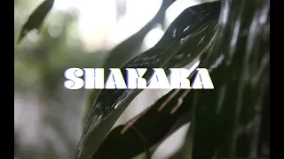 shakara a short film 