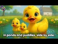 See You At The Farm | Real Animal Sounds | 12 Animals | Magic Mini Monsters | #magicminimonsters