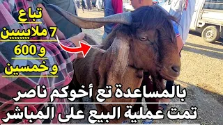آخر اخبار اسعار الماعز الماعز البلدي باطل أما الحر مثل السانين و ألبين و المرسيانو الأسعار تختلف  آخر اخبار اسعار الماعز الماعز البلدي باطل أما الحر مثل السانين و ألبين و المرسيانو الأسعار تختلف