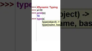 dynamic typing in python