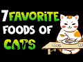 Download Lagu 7 favourite foods of cats | Human's food ,cats loves to eat