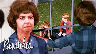 Mrs Kravitz Wants An Explanation Bewitched