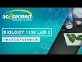 Biology 1102 Lab 2 Photosynthesis