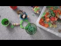Pre School Activities - Autumn