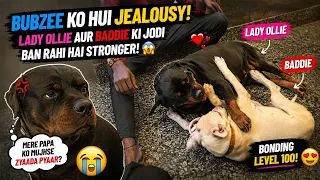 Bubzee Ko Hui Jealousy! 😳 Lady Ollie Aur Baddie Ki Bonding Dekhkar Kya Hua? 🐶❤️