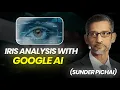 The Power of Iris Analysis to Revolutionize Healthcare Iris Analysis and Google AI Sundar Pichai