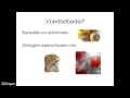 Download Lagu HV3 H11p3 Conserveren van voedsel