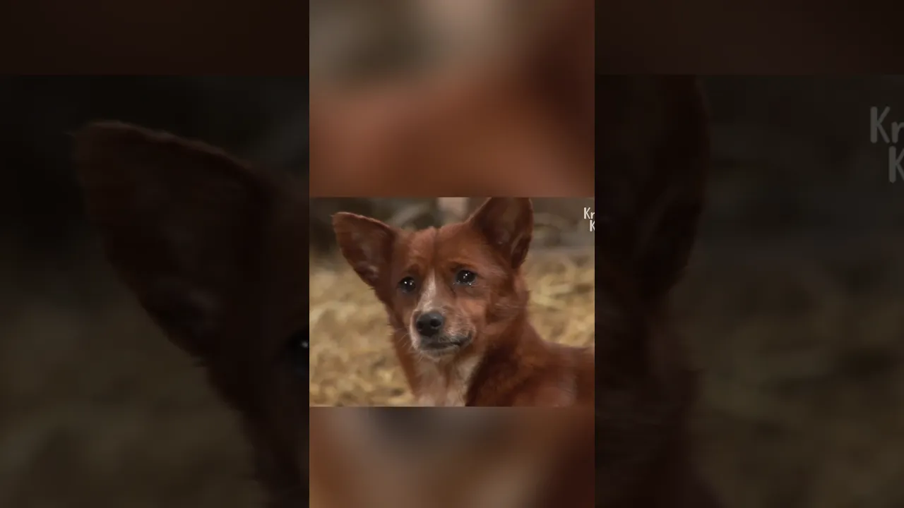 His Mom Left Him Forever