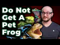 DO NOT GET A PET FROG They Suck Three Reason s Why