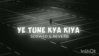ye tune kya kiya slowed and reverb javed bashir 8d audio lyricstay