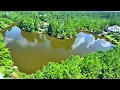 Download Lagu Full Tour of My New Backyard Pond! (Big Surprise)
