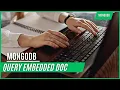 MongoDB Tutorial 06 Query Embedded Documents