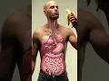 Download Lagu Inside Your Gut: 3D Animation of Banana Digestion \u0026 Parasite Worms