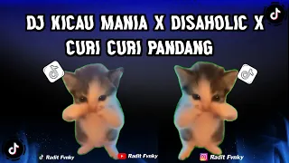 dj kicau kicau kicau mania x disaholic x curi pandang slow viral tiktok full song 2026 