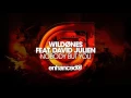 WildOnes feat. David Julien - Nobody But You [OUT NOW]