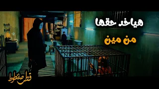 قطر صغنطوط   تفتكرو ايه الحكايه وليه بيعمل كده    الموضوع شكله اكبر مما نتخيل دندنها