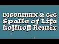 VIGORMAN & GeG / Spells of Life (kojikoji Remix)