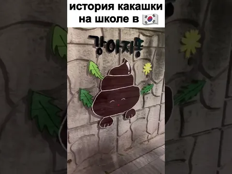 История какашки на заборе корейской школы #shorts