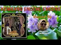 Download Lagu 🔴KEMBANG ENCENG ENCENG KOES PLUS REQUEST BY Tukiah kiki