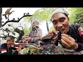 Download Lagu BERBURU 🦆🦆🦆BELIBIS POHON PAKAI FX IMPACT M4 SNIPER // MUKBANG KEPALA BELIBIS 🔥🔥🔥